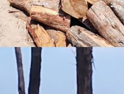 Pembangunan Kopdes Merah Putih di Pesisir Tanjung Agung Dipertanyakan, Kades Mengaku Tak Pernah Beri Izin